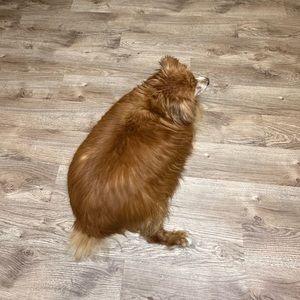 Meet your Posher, Taylor